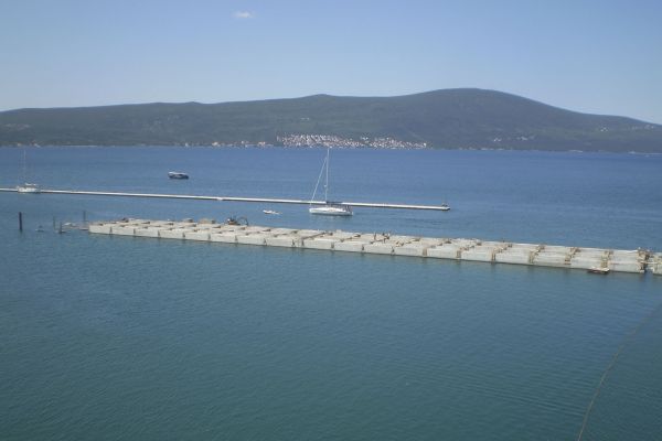 marina-p-m-jpg00688066378-D5C8-6E06-E49D-5FC7592AC1FA.jpg